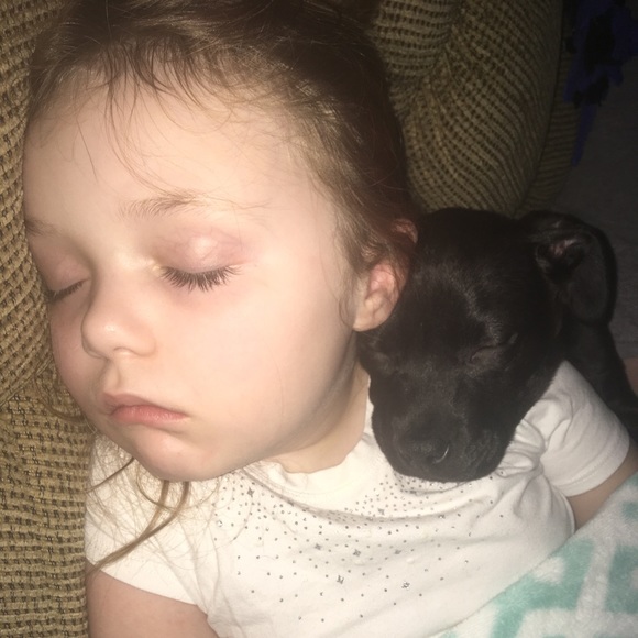 Meet your Posher, Diane - Picture 3 of 3